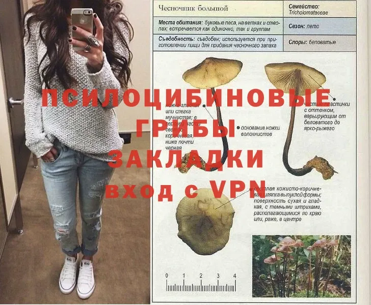 Галлюциногенные грибы Psilocybe  гидра зеркало  Железногорск  хочу  